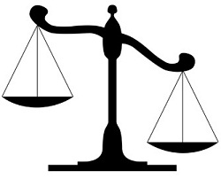 judiciary_survey